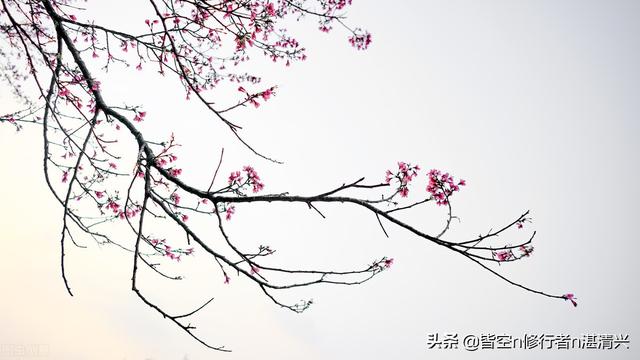 一个人命里的福祸，皆是定数