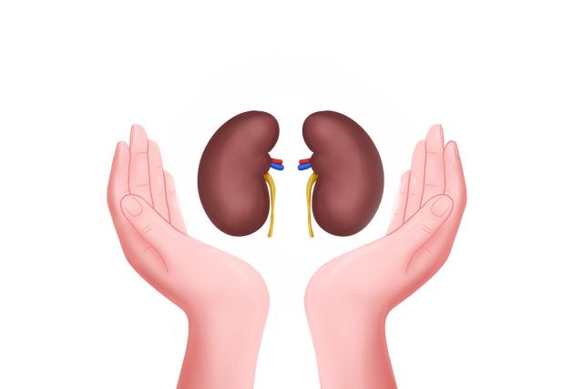 肾病饮食严格遵循“三个一”？医生提醒又嘱咐的背后有哪些原因？