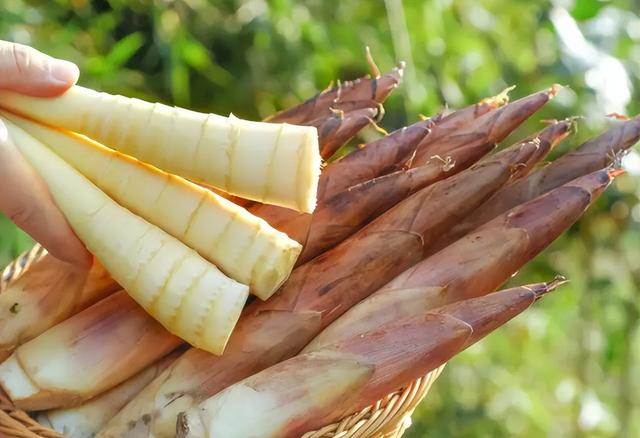 花生是糖尿病“导火索”？提醒：若想胰岛强壮，2种食物或早忌口