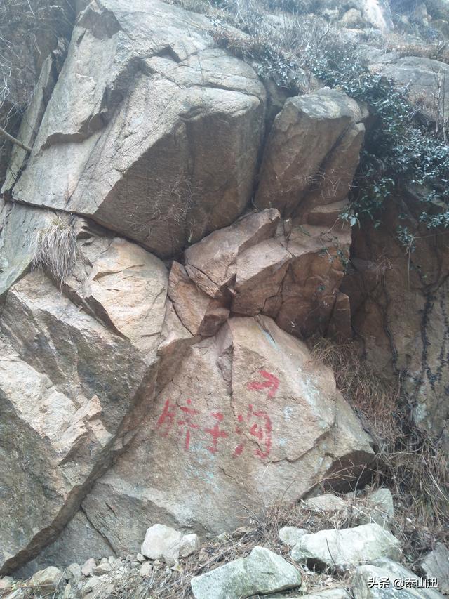 驢行泰山之黃崖山西山梁橫嶺