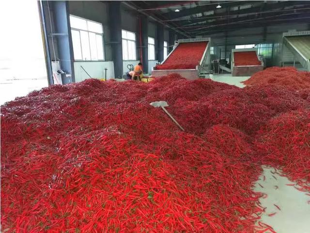 遵义大型木材破碎机