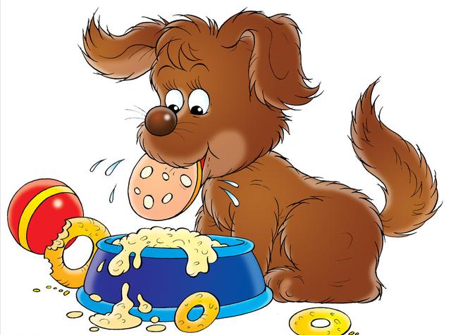 狗狗拉稀症状怎么判断(狗狗轻度腹泻怎么判断)-艾拉狗狗乐园