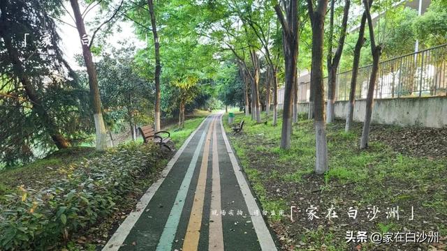 組圖 | 武漢地鐵5號線2期，沿途那些園林，逛一次少一次