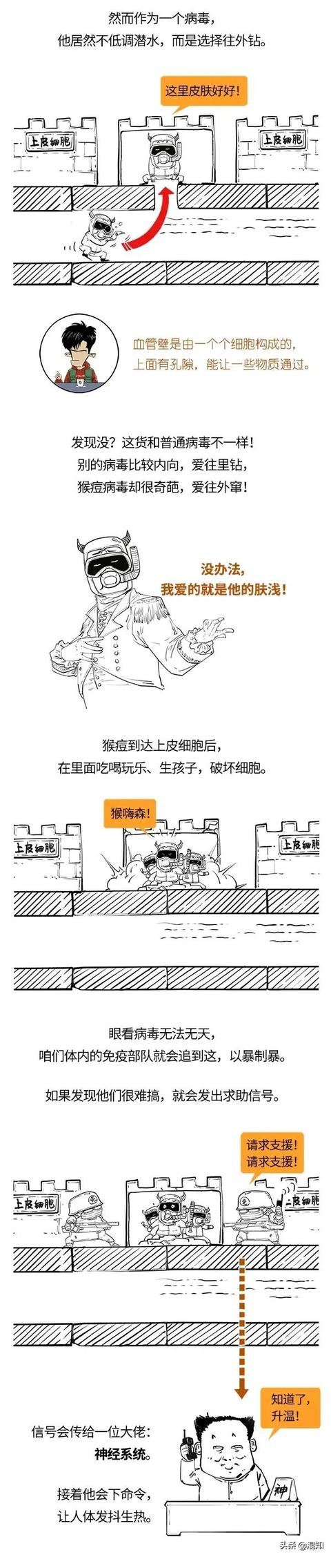 猴痘病毒扩散15个国家，有多可怕？来看看它怎么从里到外伤害你