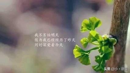 一眼被惊艳且击中内心的句子