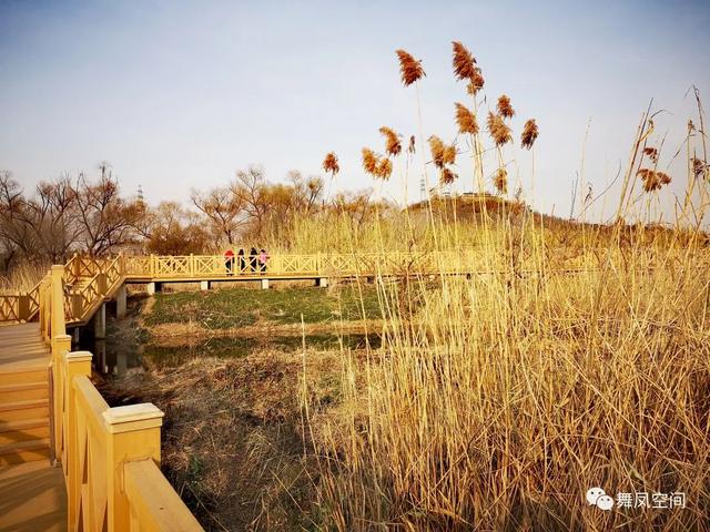 房山牛口峪濕地公園，沒想到風景如此優美