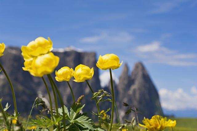 吴镇宇费曼日常互怼：父母与孩子之间，爱与规则从来就不冲突