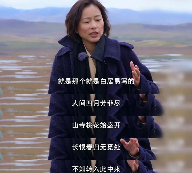 突然被这几句话点醒了