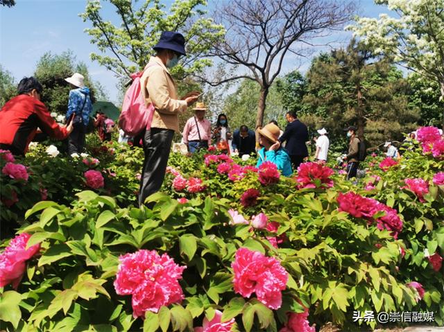 赏一片花海，读一本好书，这个“花园书房”太美妙了！