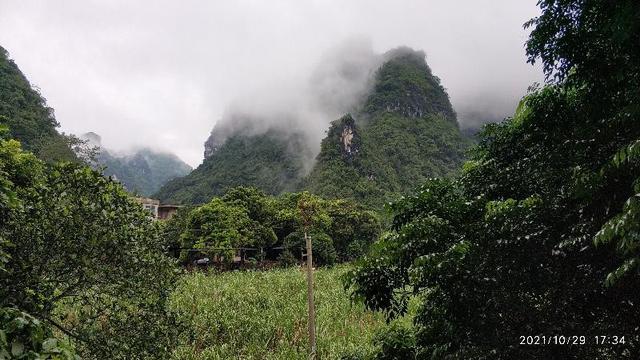 觀鳥兩年——每日期待著與鳥兒的邂逅，踏上了追逐鳥兒的征程