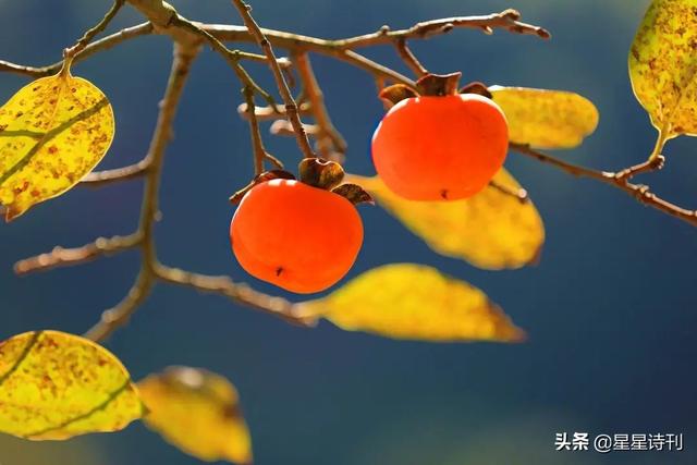 如果你愿意，我倾泻给你听