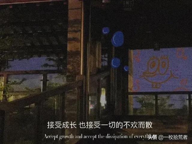 网易云热评分享：我从不惧怕黑暗，假如我从未见过光明