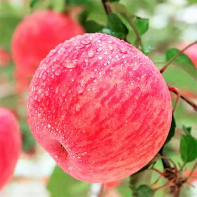 大雪将至，记得吃6个“第一”，花钱少吃得好，平安健康地过冬天