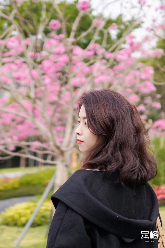 海口洗砂机价格