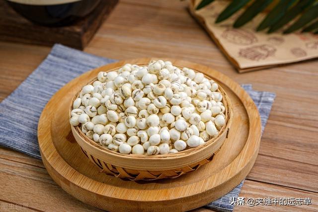 血脂高？多源于脾肾阳虚，送你六味中药，温脾肾、祛痰浊、化血瘀
