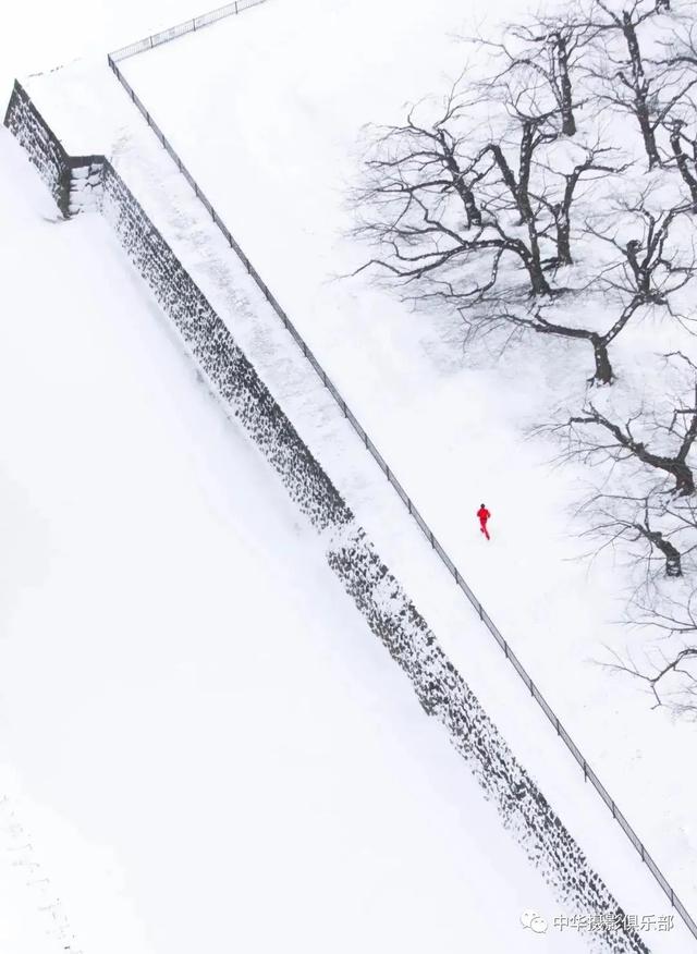 太美了！金奖摄影作品欣赏——