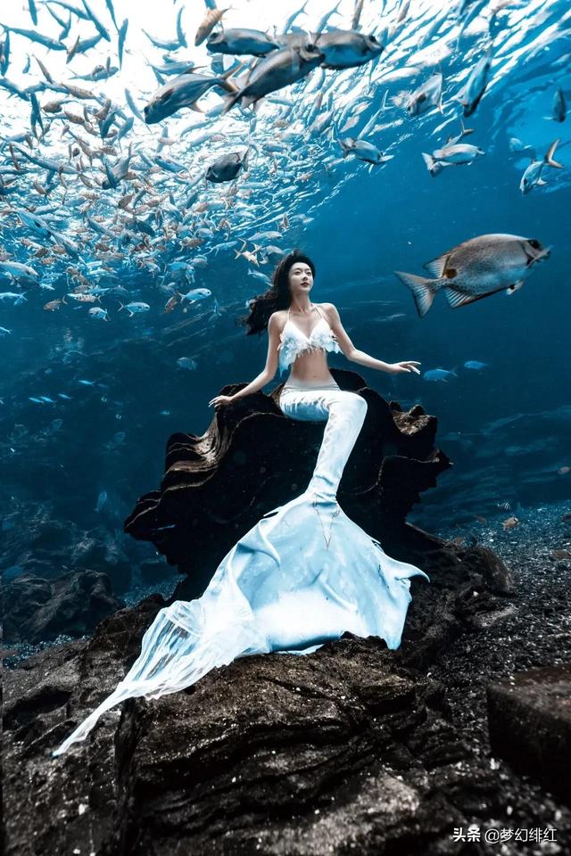 3,2月11日,女星宣璐晒自己的海底美人鱼大片!