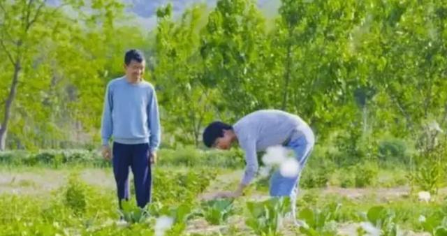 腾讯元老魏震：赚够钱后果断辞职，携妻儿归隐山林，每天种地喝茶