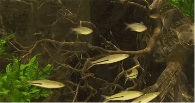 马里亚纳海沟1万米深处的水还是液态的吗？这一海沟有多奇妙？