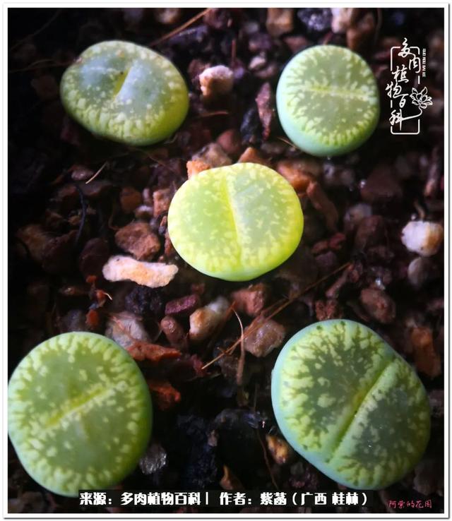 桂林滚筒式洗砂机厂家