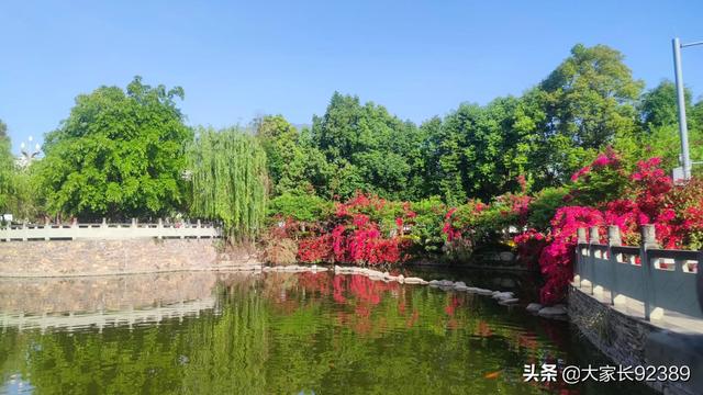 春归时，我把春天收藏
