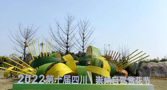 崇州田园花海“诗”会，等你来