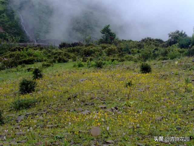 川藏騎行日志：高原之上的噩夢