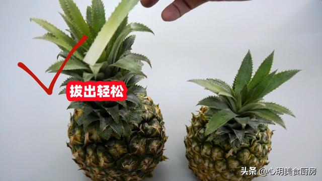 菠萝坏了是什么样子的