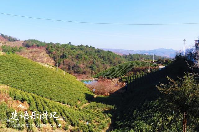 浙江四明山有一個飯店村，周邊風景美不勝收，村中竟有50多家飯店