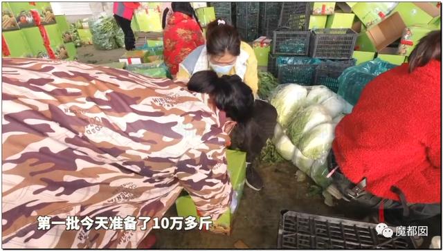 愤怒！众多城市支援上海竟然毫无热度？我们上海人不答应