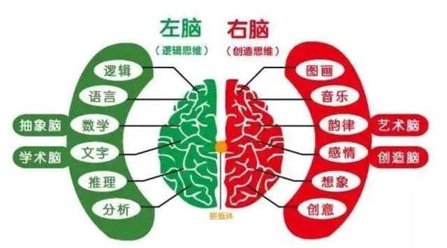 左撇子比右撇子更聪明？真相要比你所想的复杂多了