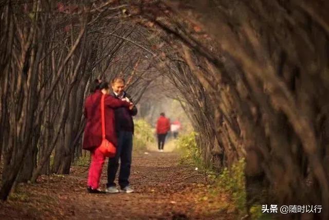 從霸陵到杜陵，看景覓詩去