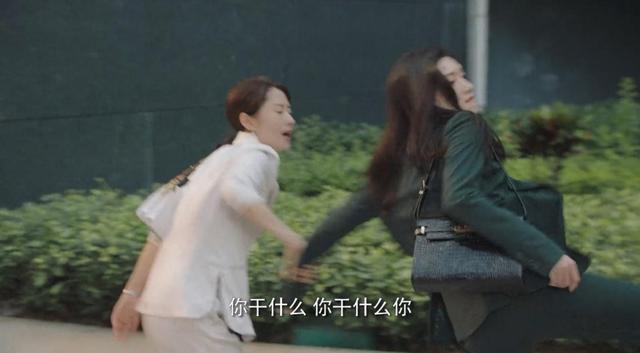 《女士的法则》全员选角完美，仅1人被指败笔，形象违和让人出戏