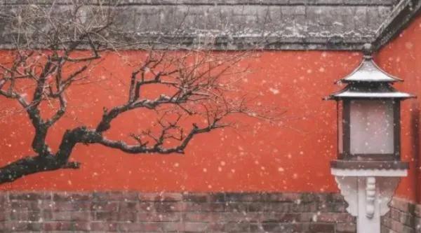 一道閃電劈在故宮牆上，遊客發現，一群穿古裝的宮女在牆上行走