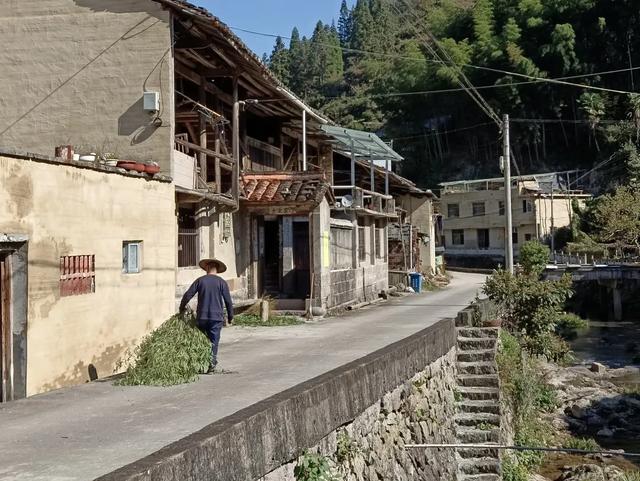 慶元村落｜壩頭村 · 千年古村藏深閨 靜候貴客探新顔
