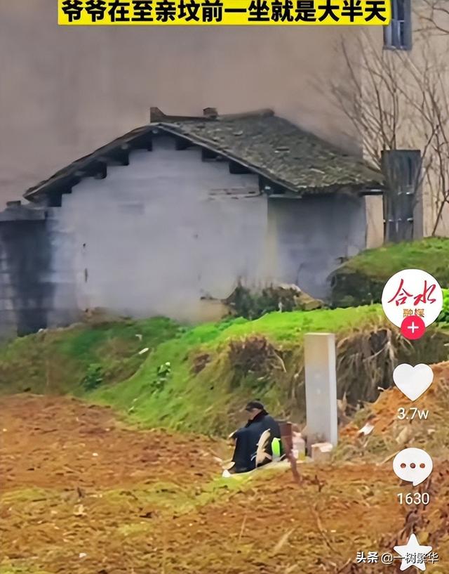 坟墓前，坐了一天的老爷爷不愿意回家，知情人称：老爷爷心里苦啊