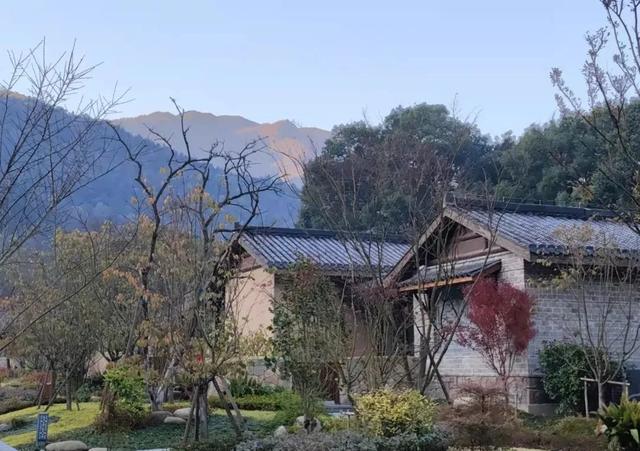 【安徽石台】 藏不住了！这里有美出圈的诗意庭院生活