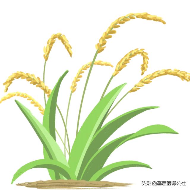 糖尿病患者3大食谱，轻松预防并发症