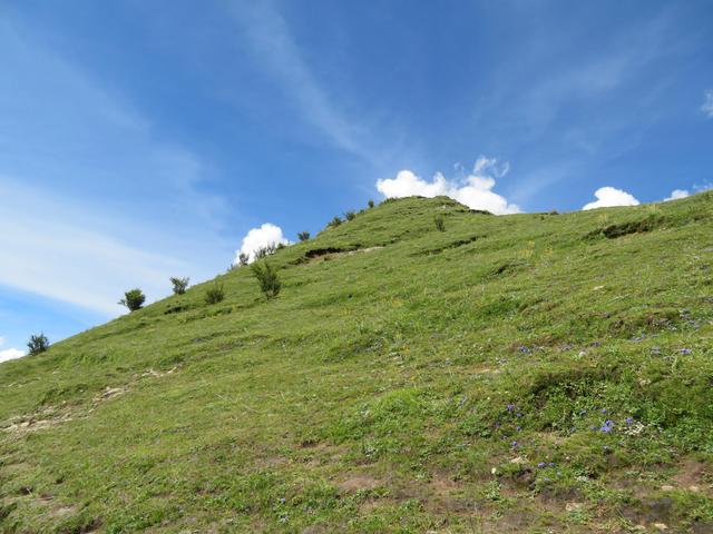 藏在懸崖上的寺廟，1300多年曆史，如今成小衆景點