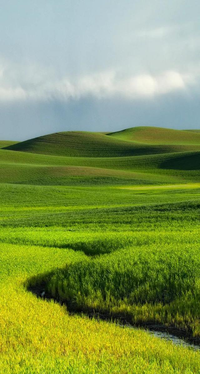 ios腾讯微视多开软件,苹果7超级高清壁纸插图(9)