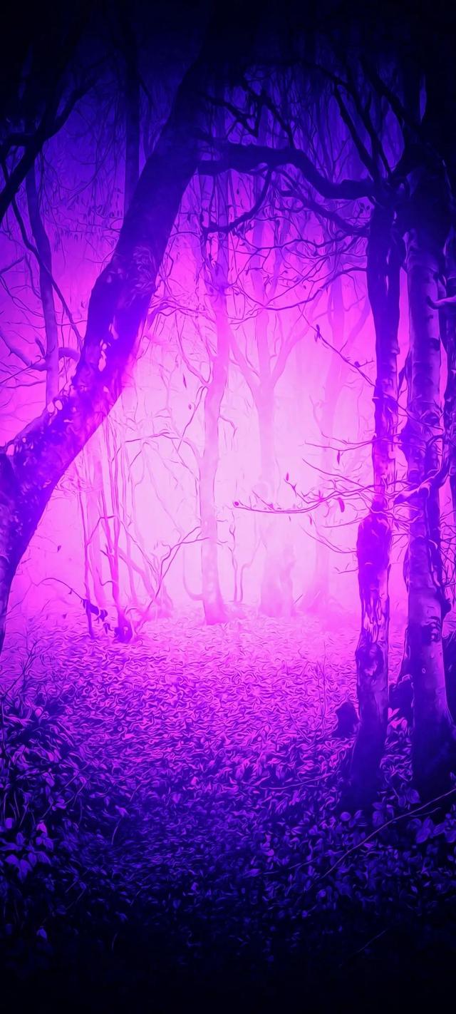 神秘园专辑下载 全面屏手机壁纸 估计您听过神秘园专辑 但是看过神秘园壁纸吗 剧透啦