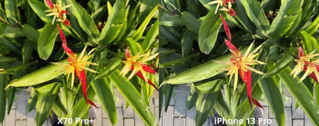 vivoX70Pro+对决iPhone13Pro：国产手机赢了，而且赢得很轻松