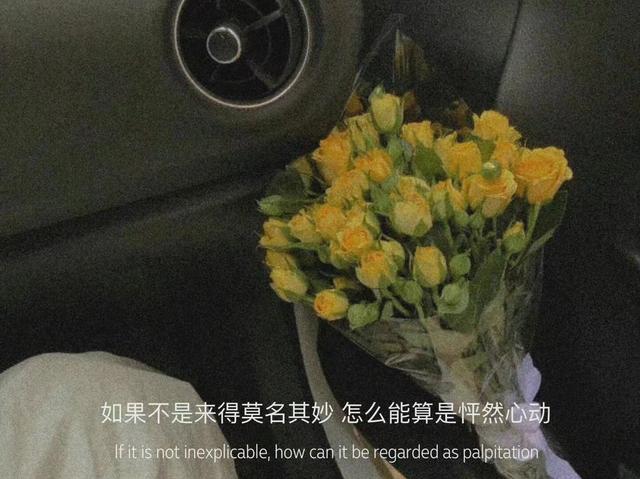 �ʺϷ�����Ȧ�Ķ̾��İ�