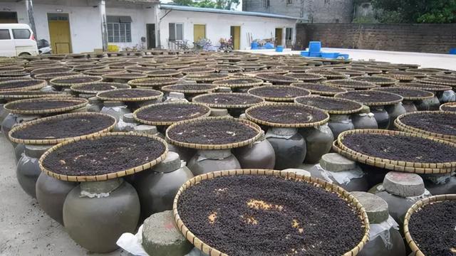 经常吃豆豉可以长寿？营养师：豆豉的这4大好处，你可能不知道