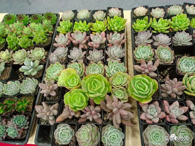长沙机械展2021几点