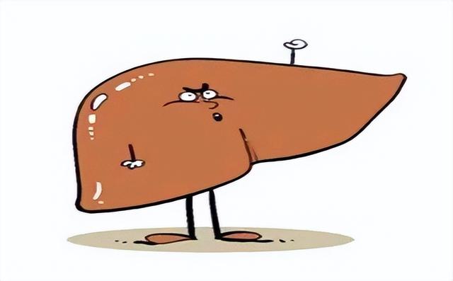 患有脂肪肝的人这4种食物要忌口，以免加重病情，需重视