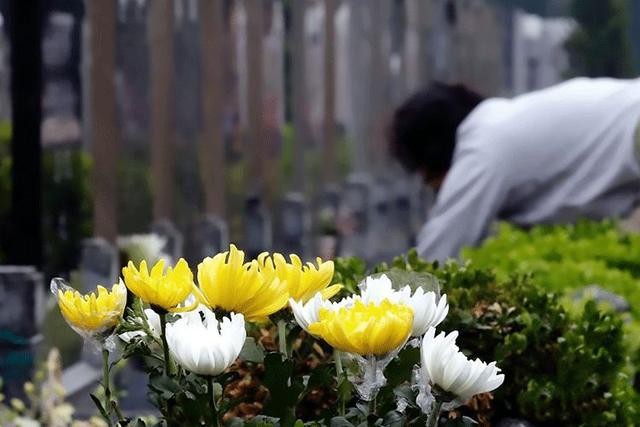 清明时节，如何喝茶养生