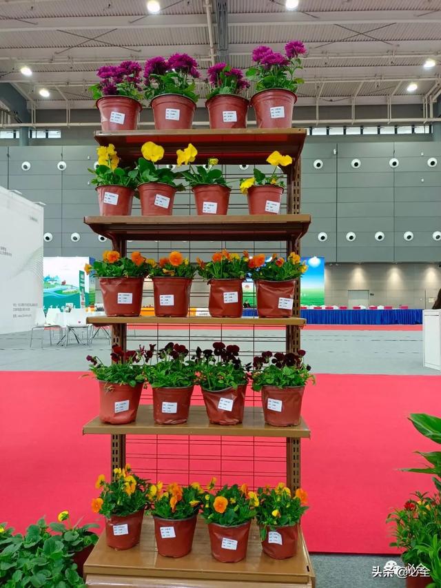 长沙机械展2021几点