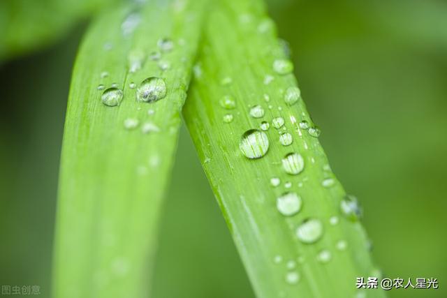 天气预报：新一轮冷空气来袭，局部降温超10℃，倒春寒又来了吗？