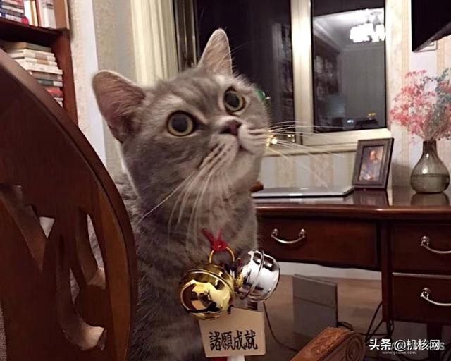 玩家丨绝不松开你的拳头